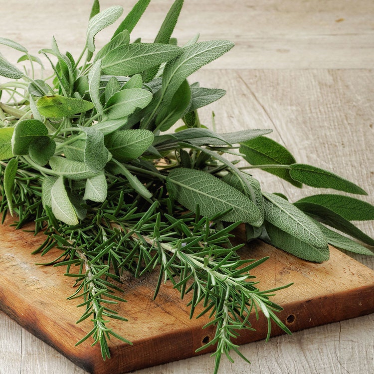 Rosemary Sage Reed Diffuser Herbal Aromatherapy Home Fragrance